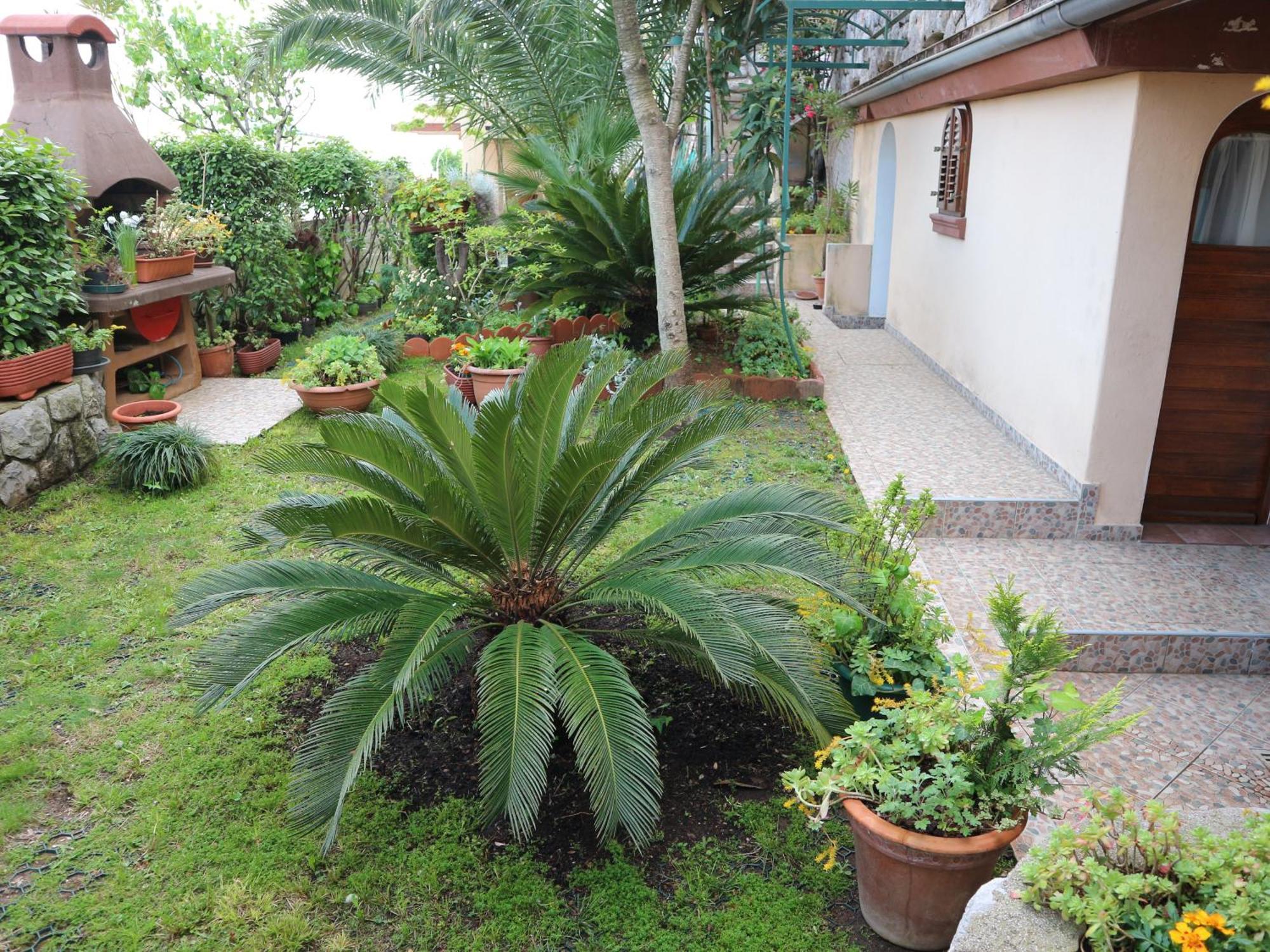 Apartments Komel Opatija Exterior photo